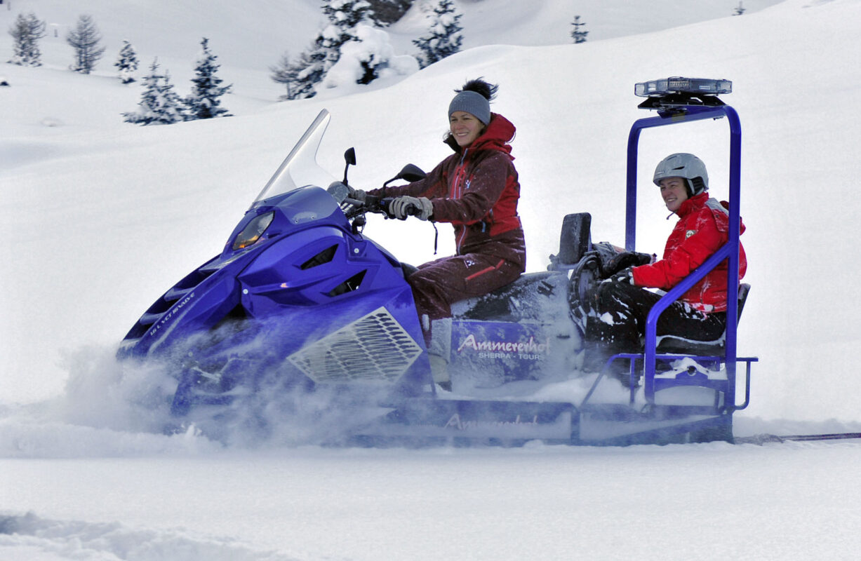 Alpina Snowmobiles 2025 best utility snowmobiles